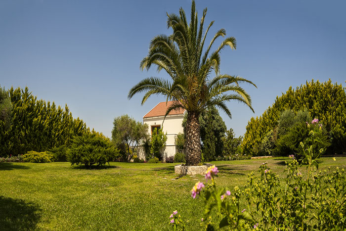 Villa Angel